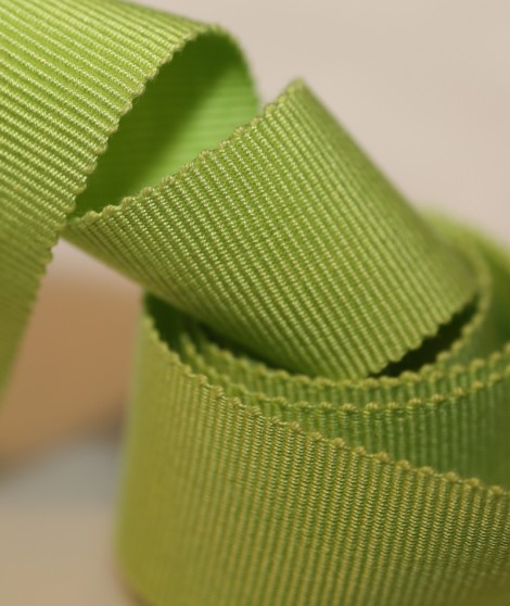 Vue générale - Gros grain vert